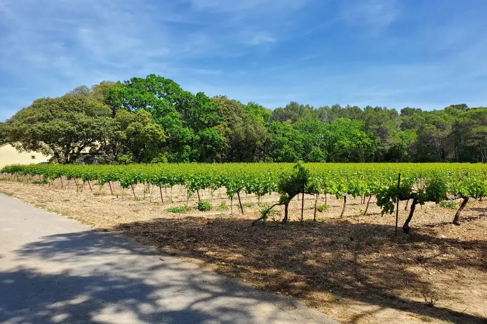 Les Flacons de l'Empereur — photo 4