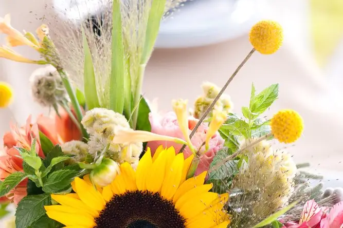 Les Perséides — photo 3