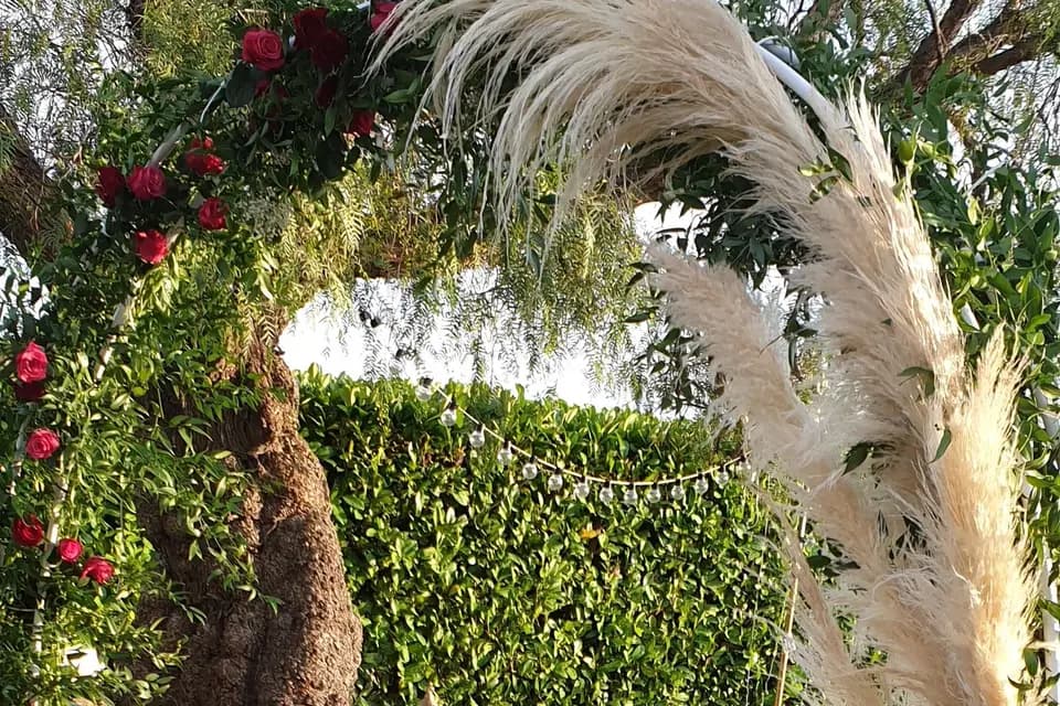 Crystal Ceremony — photo 2