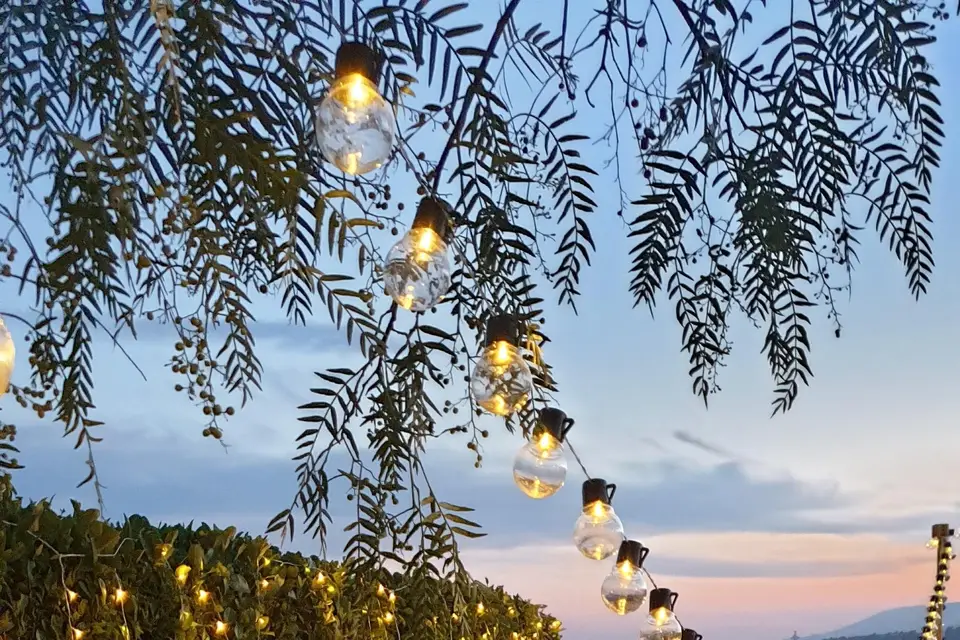 Crystal Ceremony — photo 4