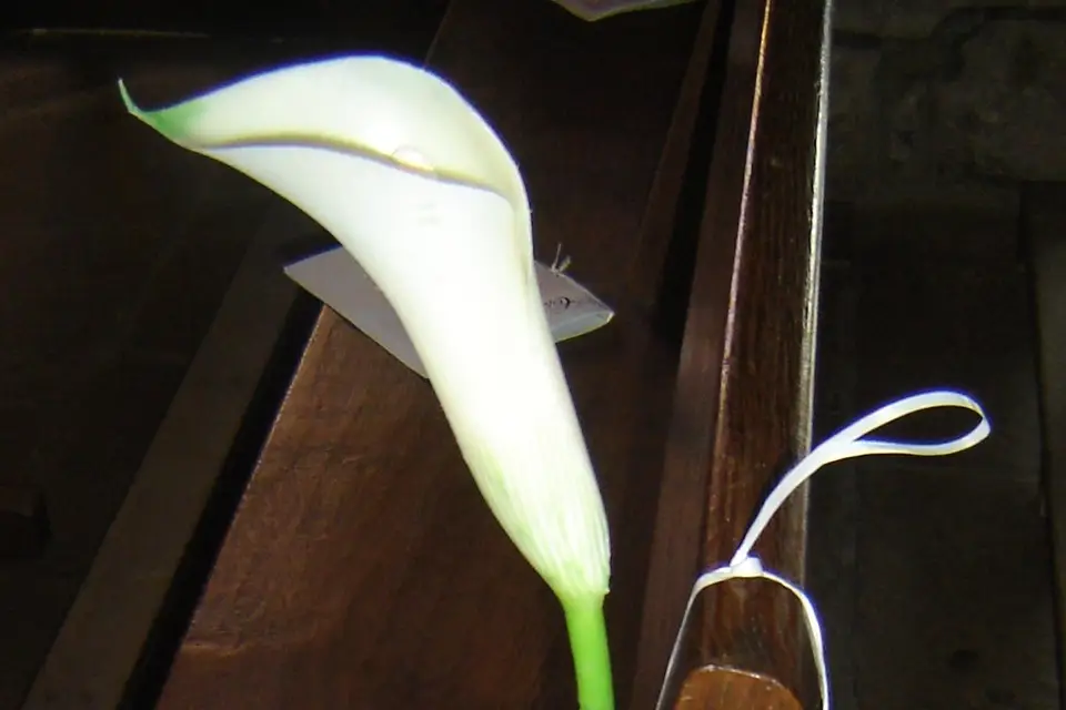 Un Jour Une Fée — photo 3