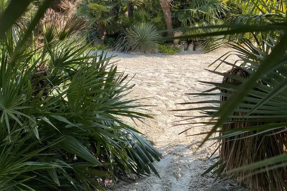 Le Masakan — photo 6