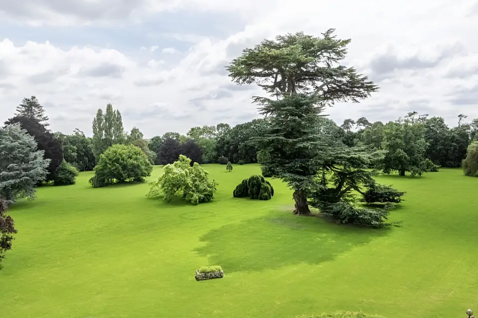 Château Chesnay-Haguest — photo 6