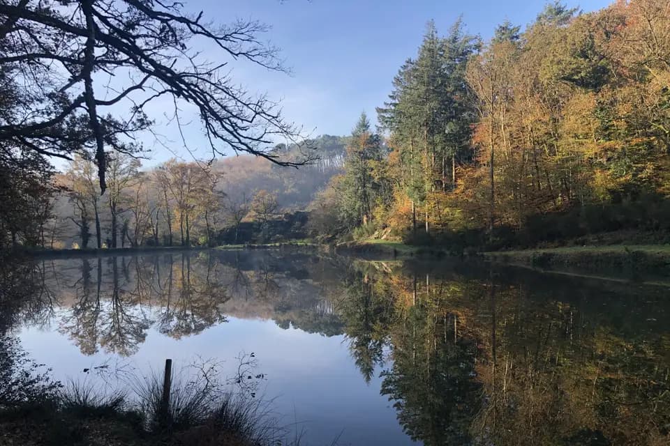 Château de l'Estier — photo 7