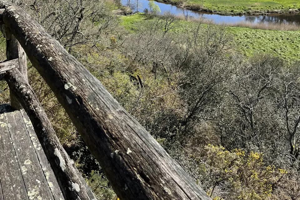 Château de l'Estier — photo 4