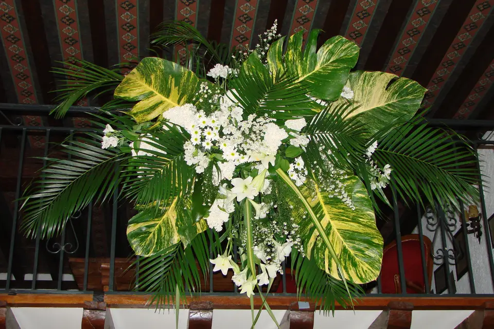 Nedellec - Rivière fleuriste — photo 7