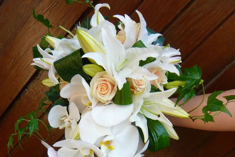 Nedellec - Rivière fleuriste — photo 1