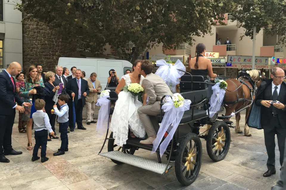 Terre de Trait — photo 4