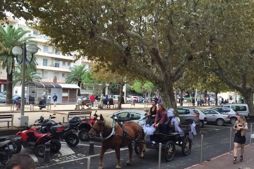 Terre de Trait — photo 7