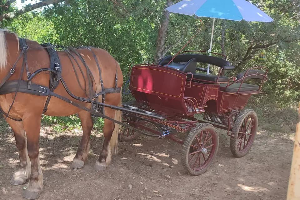 Terre de Trait — photo 2