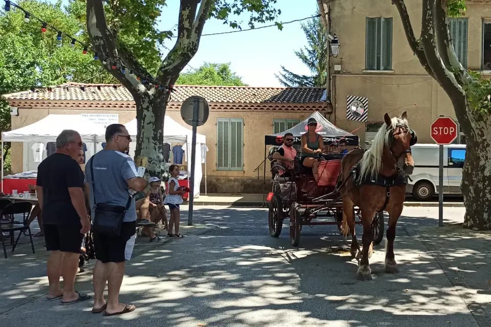 Terre de Trait — photo 3