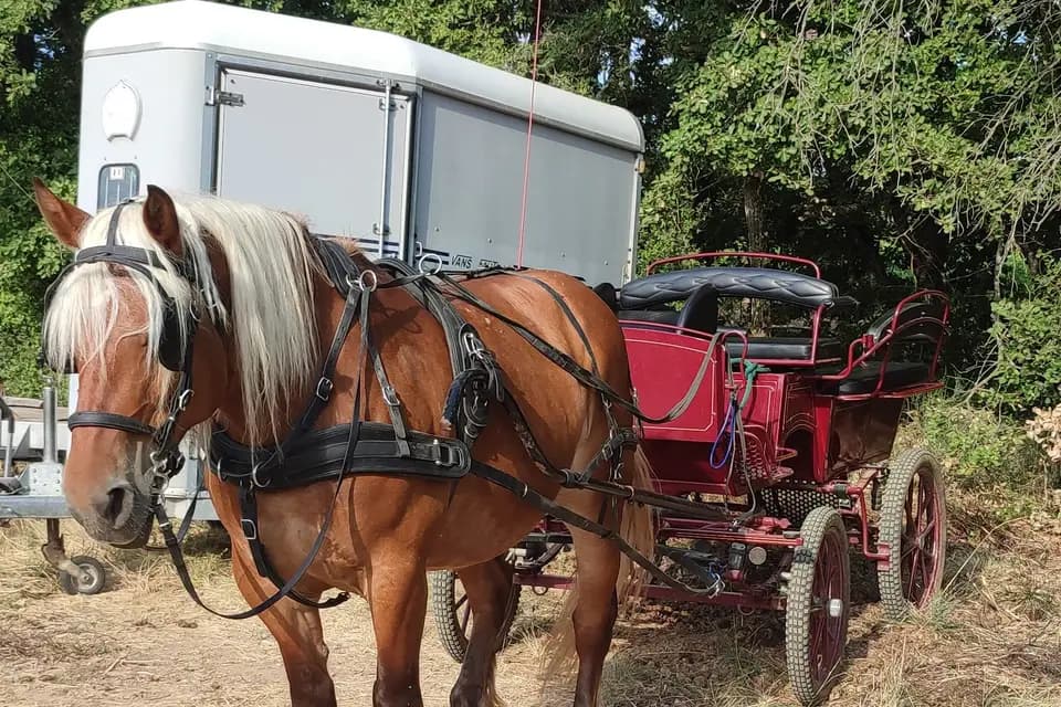 Terre de Trait — photo 1