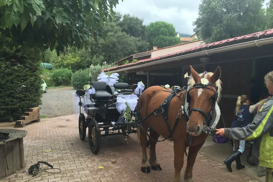 Terre de Trait — photo 5