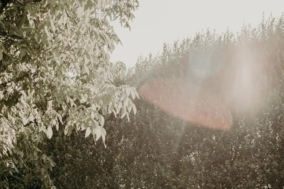 The Pershing — photo 7