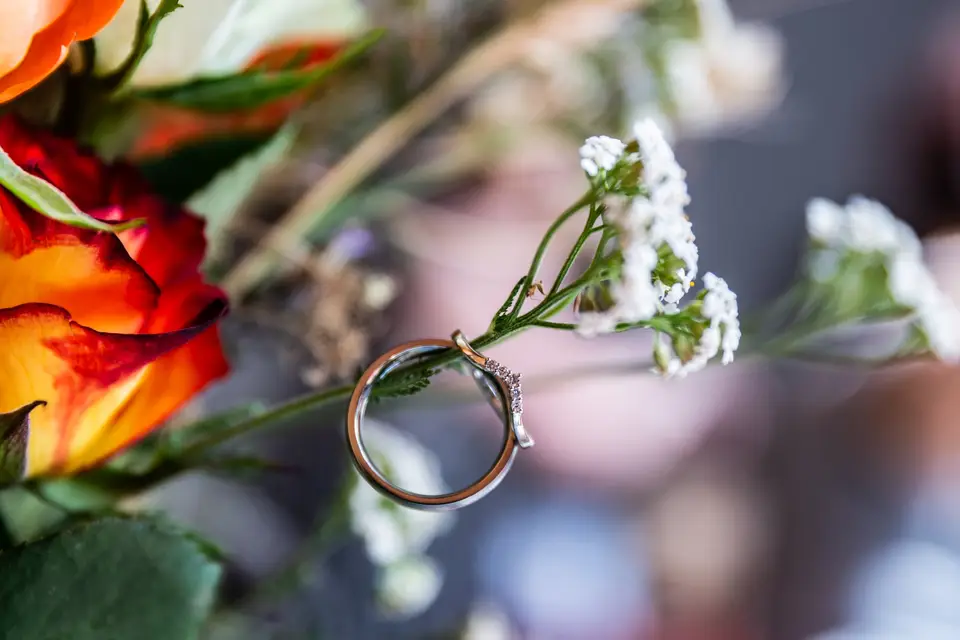 M.A.C Pictures — photo 6