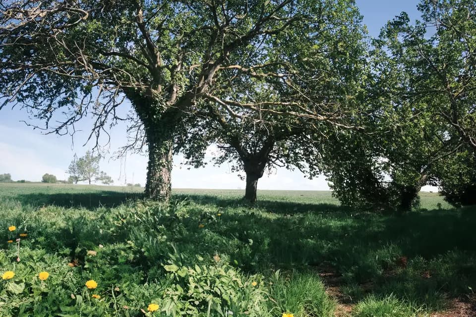 À la folie — photo 1