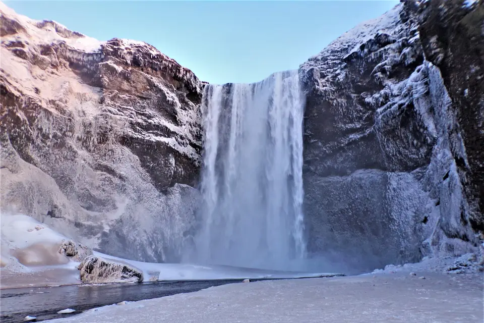 L'oiseau explorateur — photo 7