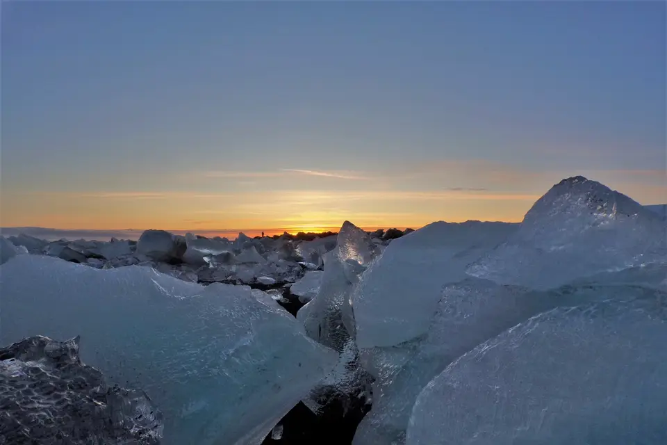 L'oiseau explorateur — photo 4