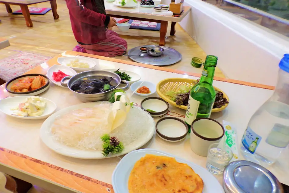 L'oiseau explorateur — photo 6