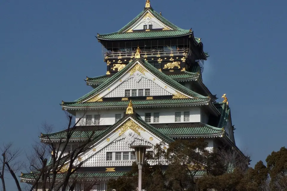 L'oiseau explorateur — photo 5