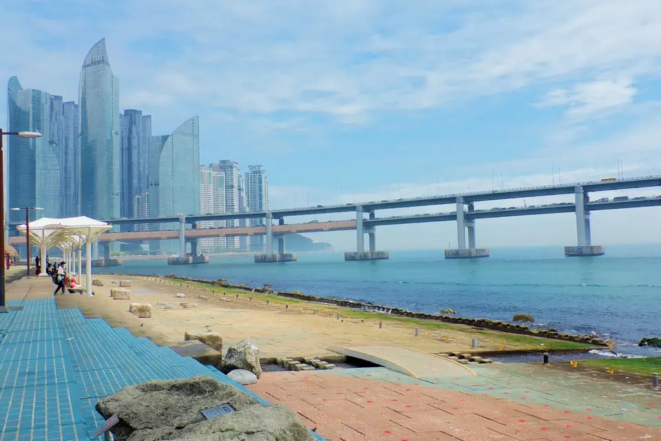 L'oiseau explorateur — photo 2