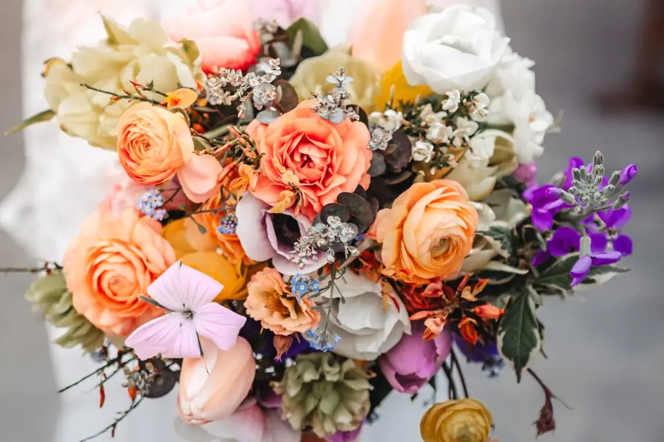 L'Herbacée — photo 7