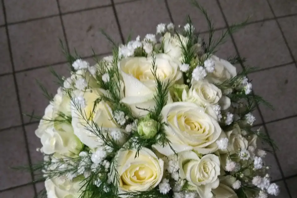 Pétales d'Étoile — photo 3