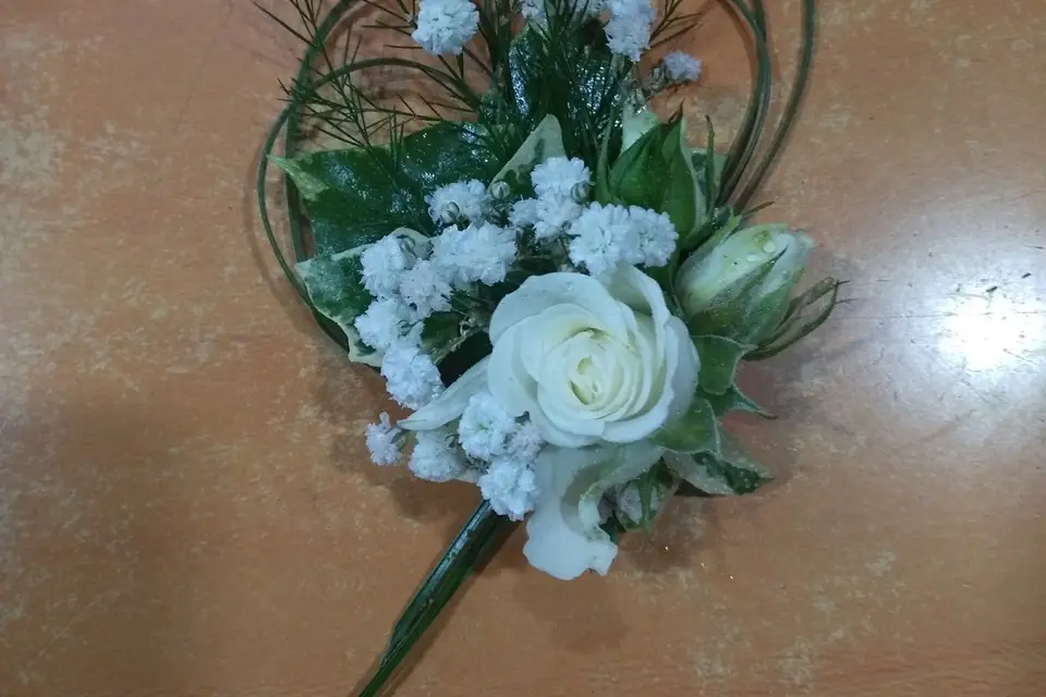 Pétales d'Étoile — photo 5