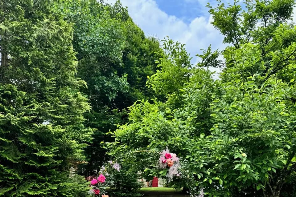 Fanny Fleurs — photo 5