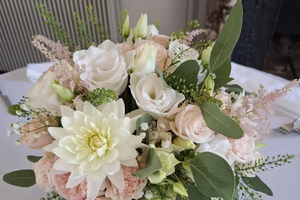 Anémone — photo 6