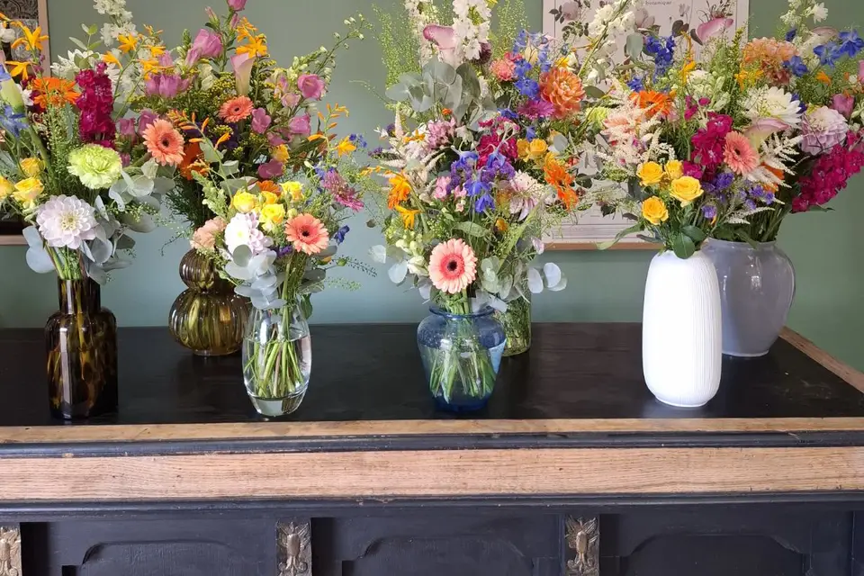 Anémone — photo 8