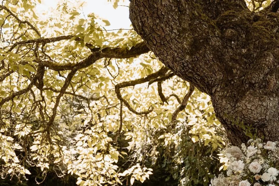 Fanny Fleurs — photo 2