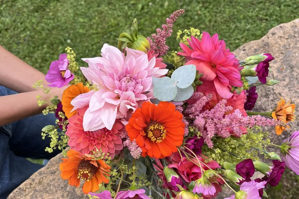 Buttercup — photo 5