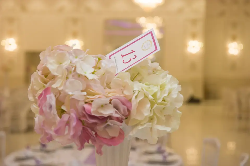 Fairy Dreams — photo 2