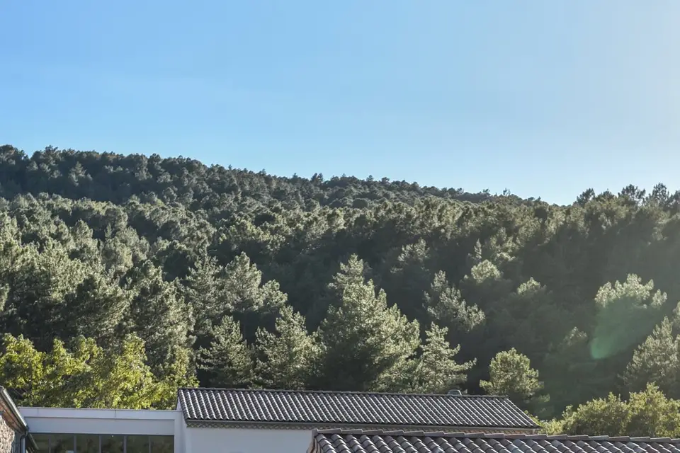 Capture moi si tu peux — photo 5