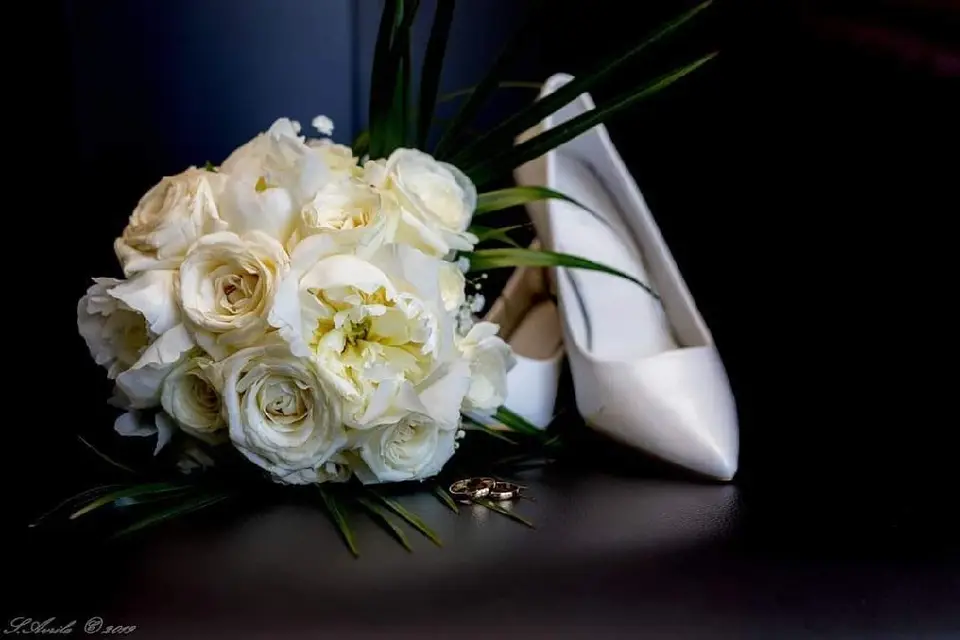 Elikya Services — photo 2