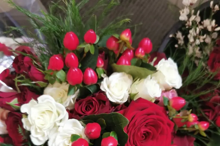 Elikya Services — photo 1