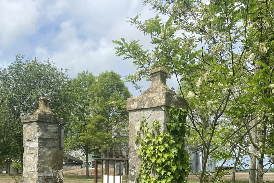 Le Coeur de Lomné — photo 3