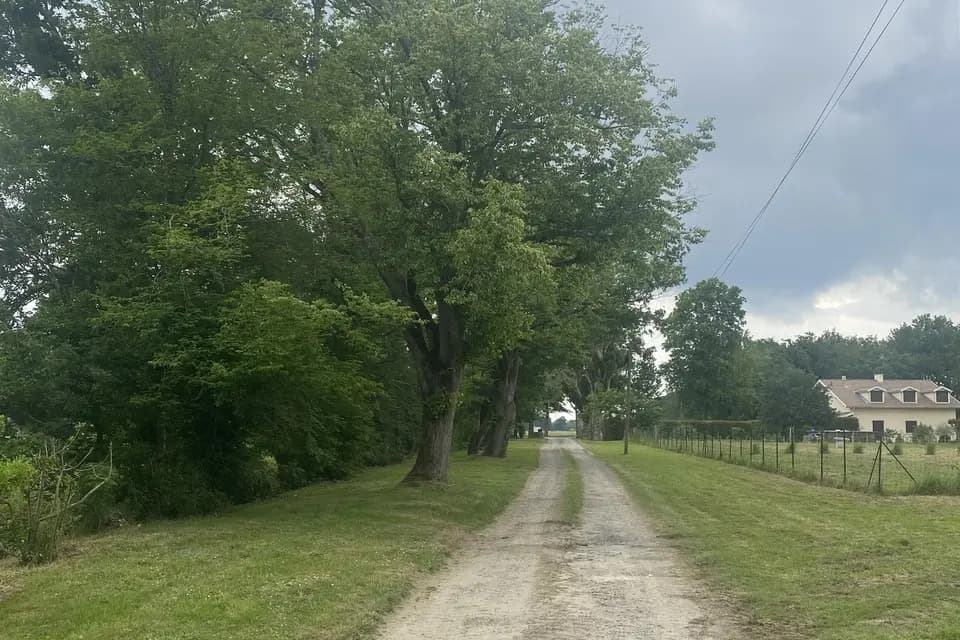 Le Coeur de Lomné — photo 5