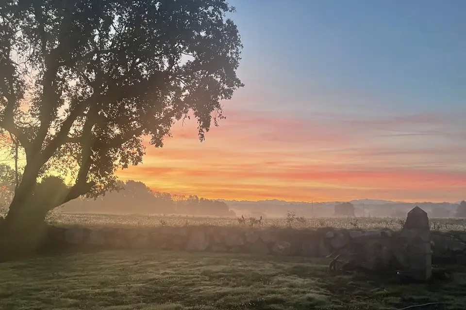 Le Coeur de Lomné — photo 7