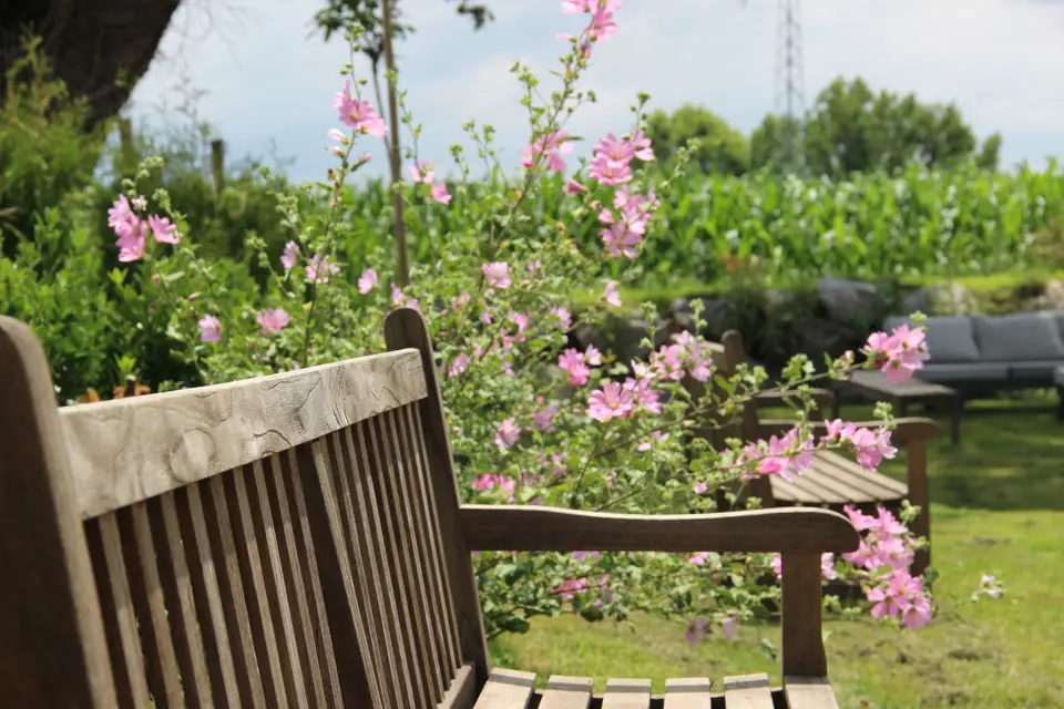 Le Coeur de Lomné — photo 8