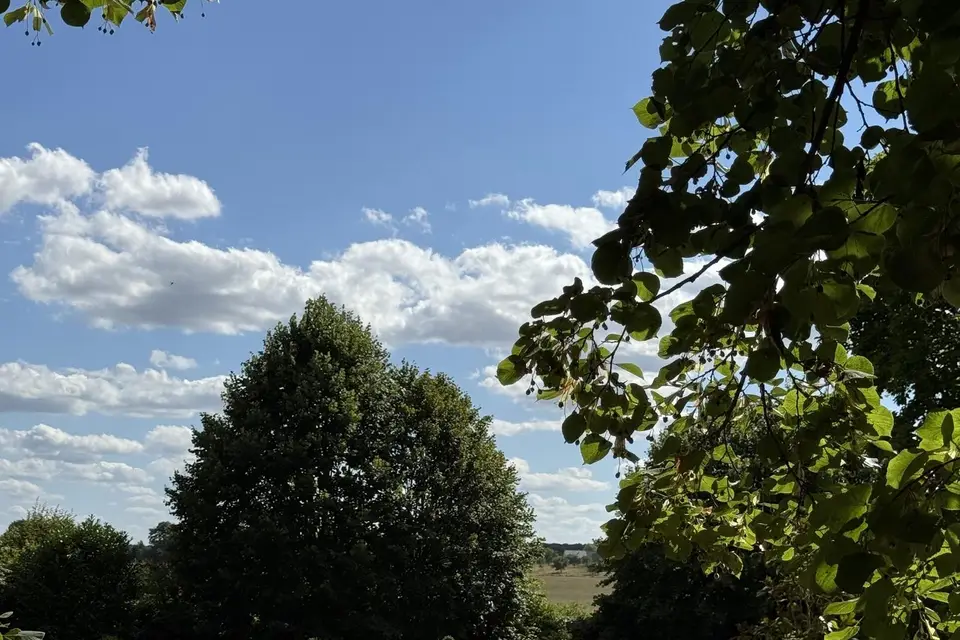 La Massonnière — photo 5