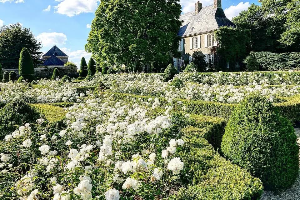 La Massonnière — photo 1