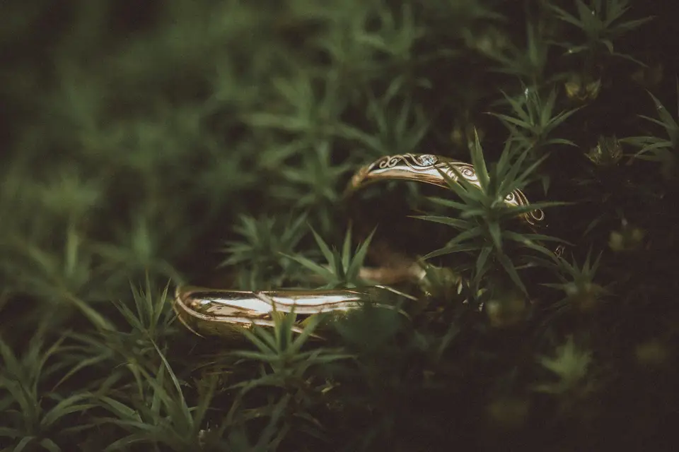 Méditation Photographique — photo 6