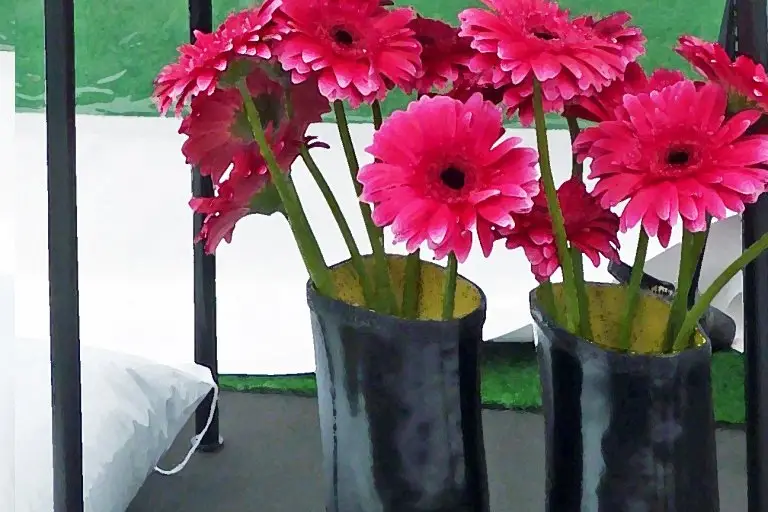 Matine Pasquier — photo 8