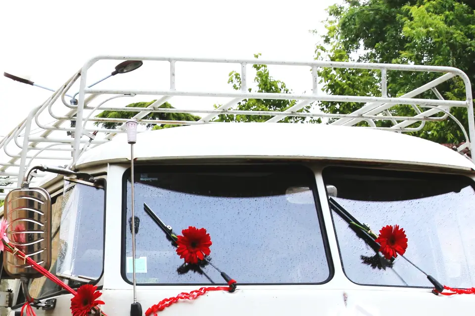 All'In Photo — photo 5