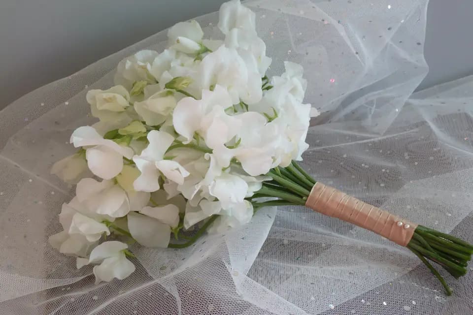 Matine Pasquier — photo 6