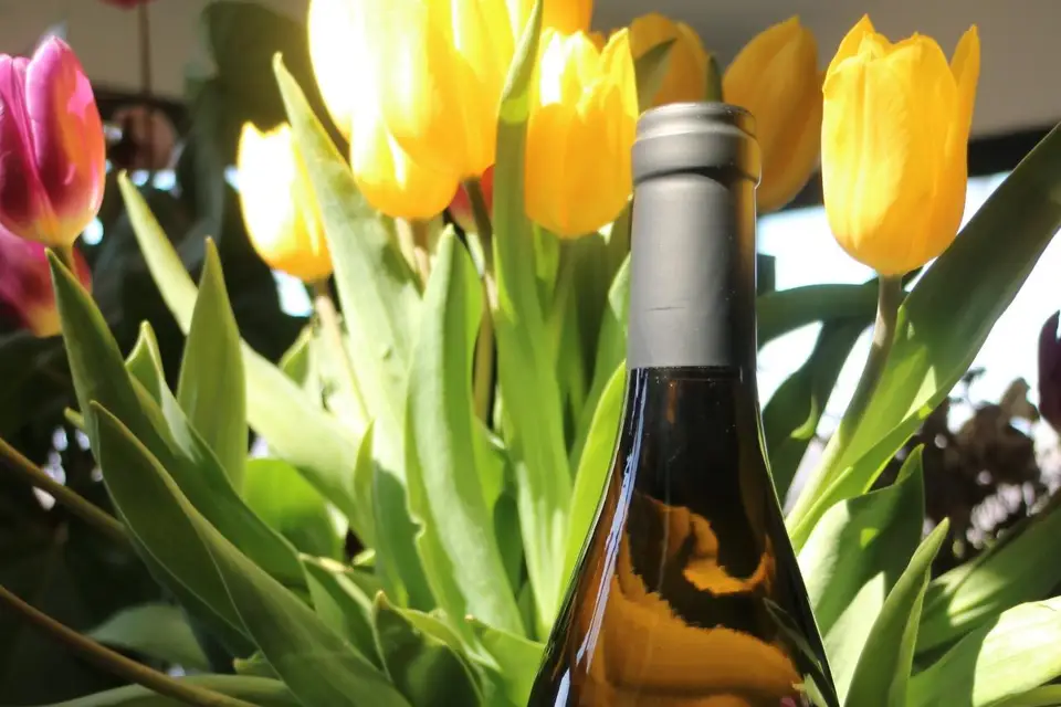 Famille De Boel France — photo 5