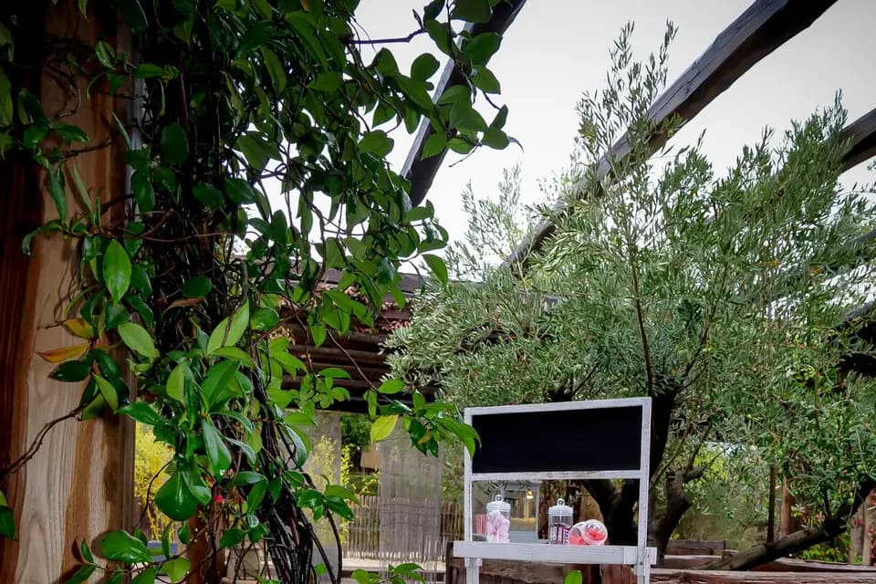 GV Event — photo 8