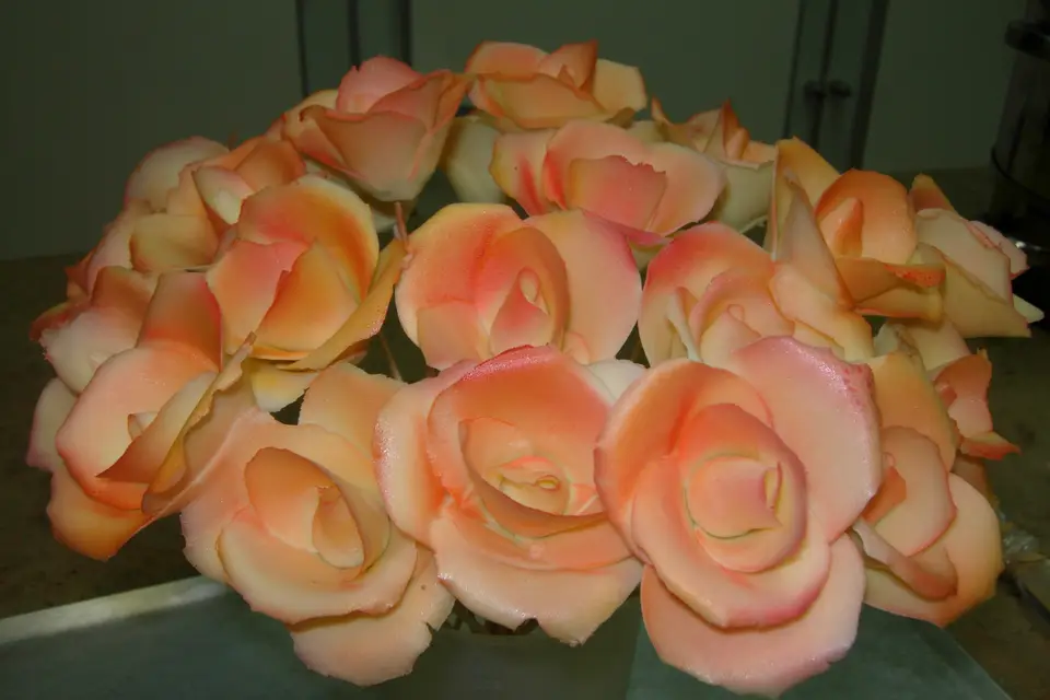 Pâtisserie A.Argiolas — photo 8